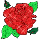 rose