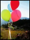 Love Dream â™¥ 