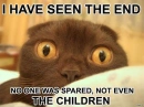 Cat sees the end