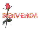 Bienvenida