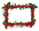 FRAMES