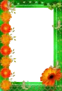FRAMES
