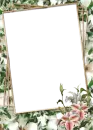 FRAMES