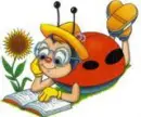 Lady Bug