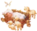 Baby Jesus