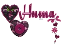 Huma