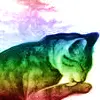 Cat Grooming Self