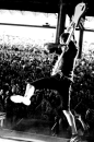 Paramore Concert