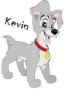 Scamp with Name- Kevin