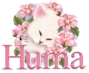 Huma