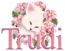 Trudi
