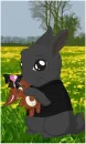 Cute bunny