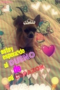 El dueÃ±o 