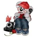 CREDDY BEAR BOY