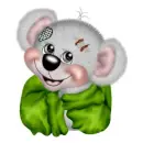 CREDDY BEAR BOY