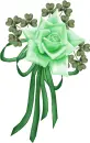 IRISH GREEN ROSE