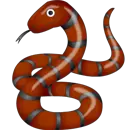 snake