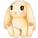cute bunny
