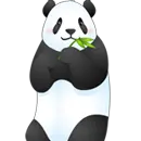 panda
