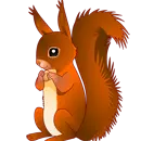 squirell