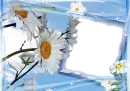 FLOWER FRAMES