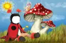 Funny Frames