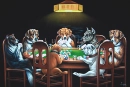 Dogs