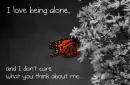 Lone Butterfly