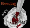 Bleeding White Rose