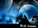 Wolf dreams