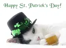 Kitty-Happy St. P. Day