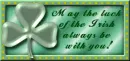 Luck O' The Irish blinkie