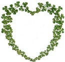 Shamrock Heart
