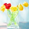 Spring flower