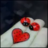 Lady Bug Love â™¥