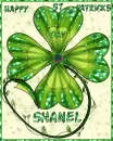 shamrock shanel