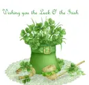 St. Patrick's Day Luck O' the Irish