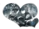 Eisblume - Eisblumen Iceflowers