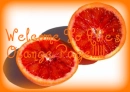 bloodorangesssssssss