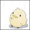 hibird