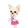 BH chihuahua