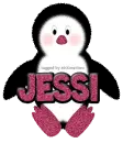 Baby Girl Penguin -Jessi-