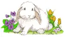 easter bunny