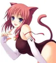 ANIME NEKO