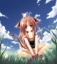 ANIME NEKO