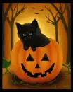 Halloween Cat