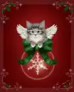 Christmas Kitten