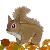 Autumn Squirrel