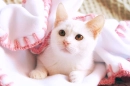for my