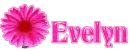 Evelyn